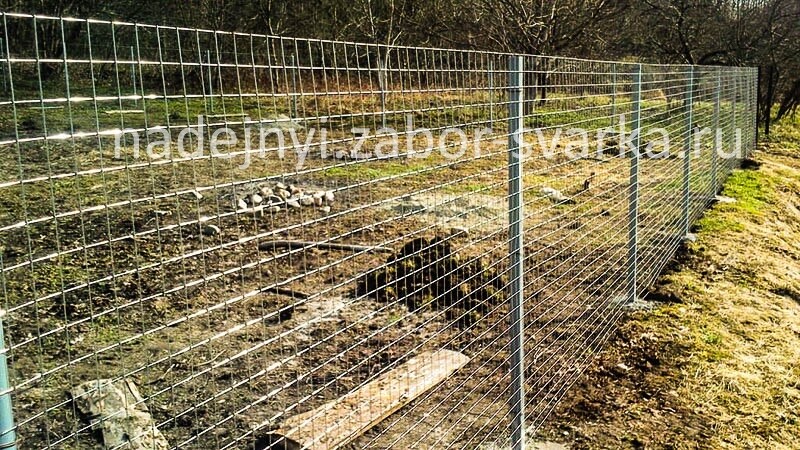 сварная сетка забор из сварной сетки